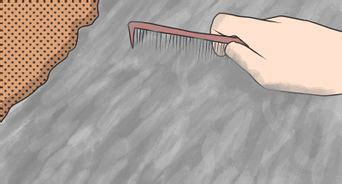 3 Ways to Brush a Cat - wikiHow