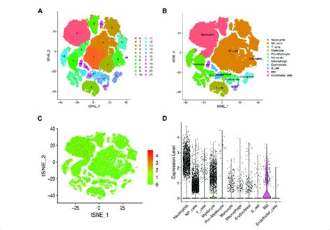 Single cell sequencing data analysis and identification of different... | Download Scientific ...