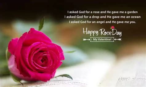 50+ Amazing Rose Day Wishes for Friends 2024 - QuotesProject.Com