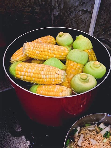 Freshness corn boiling stock image. Image of freshness - 133649689