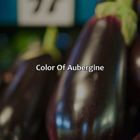 What Color Is Aubergine - colorscombo.com