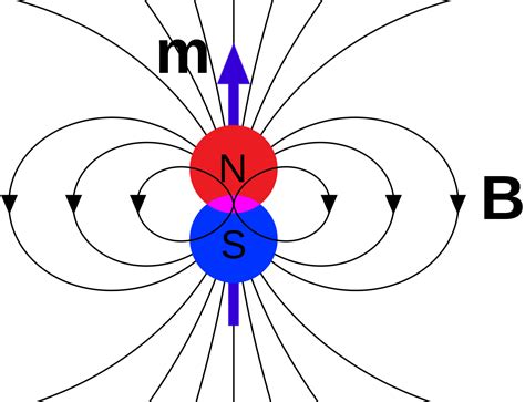 File:Magnetic field due to dipole moment.svg - Wikimedia Commons