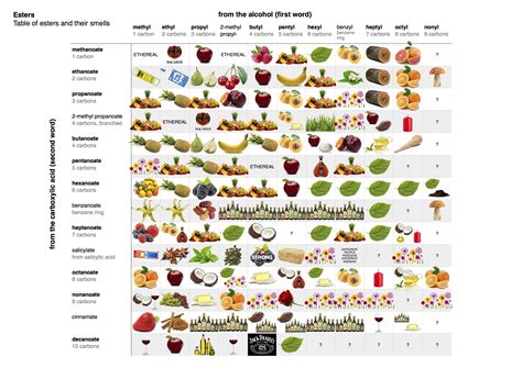 Infographic: Table of Esters and their Smells | James Kennedy