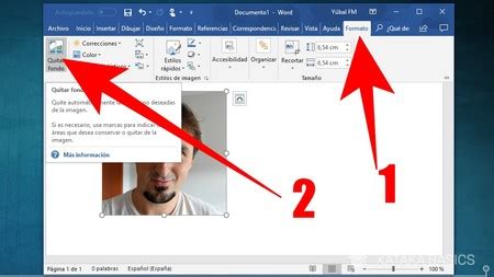 Cómo eliminar el fondo de una foto en Word