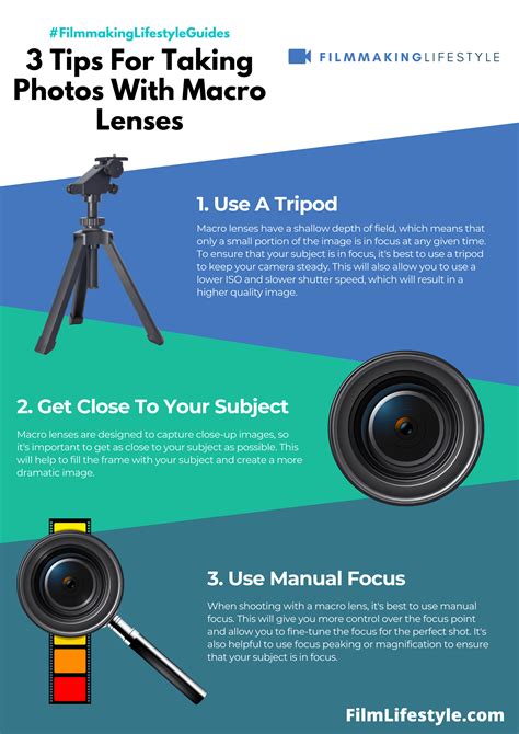 What Is A Macro Lens: The Definitive Guide To Macro Lenses