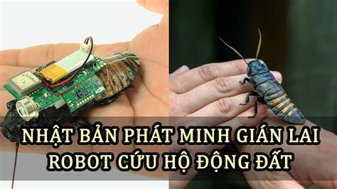 Nhật Bản phát minh gián lai robot cứu hộ động đất | Tin tức đó đây - YouTube