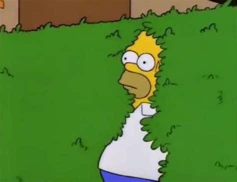 Image - Homer Bush.png | Simpsons Wiki | FANDOM powered by Wikia