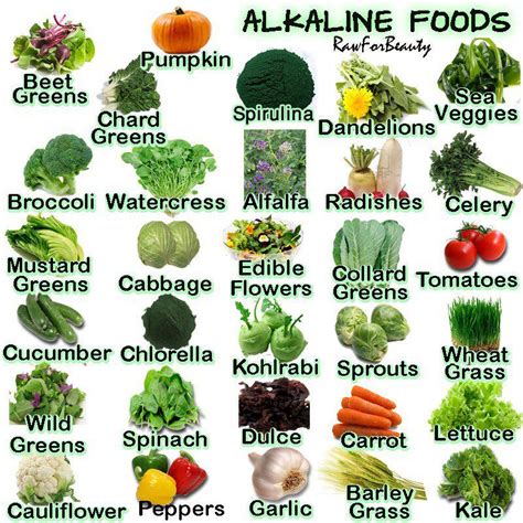 Top 12 Ways to Make your Body More Alkaline