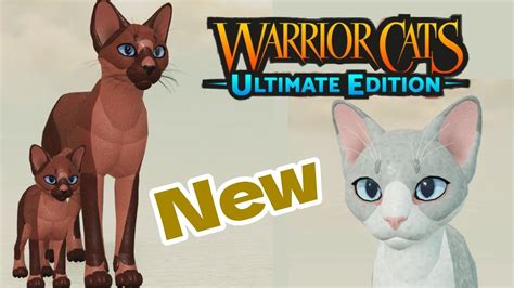 NEW KIT REMODEL IDEA *SO CUTE!* || Warrior Cats: Ultimate Edition - YouTube