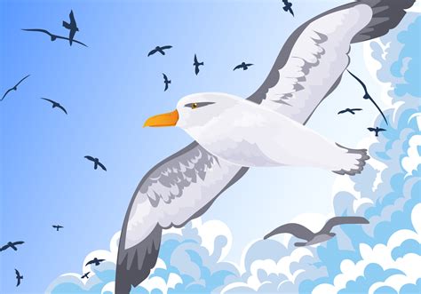 Albatross Bird Flying Into The Sky Vector 159321 Vector Art at Vecteezy