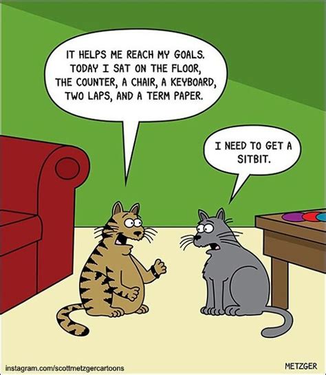 Cat Comics | Cat jokes, Funny cat memes, Cat comics