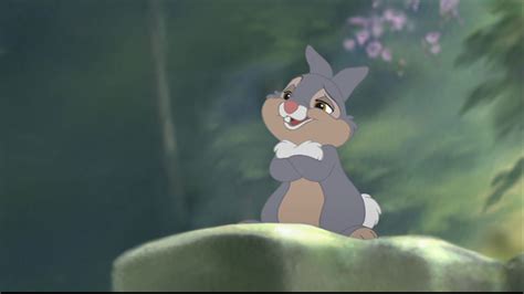 Thumper bambi discription - garrysino