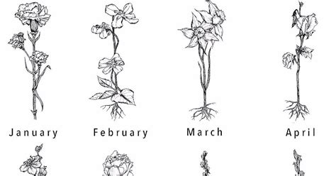 June Birth Month Flower Tattoo - Best Tattoo Ideas