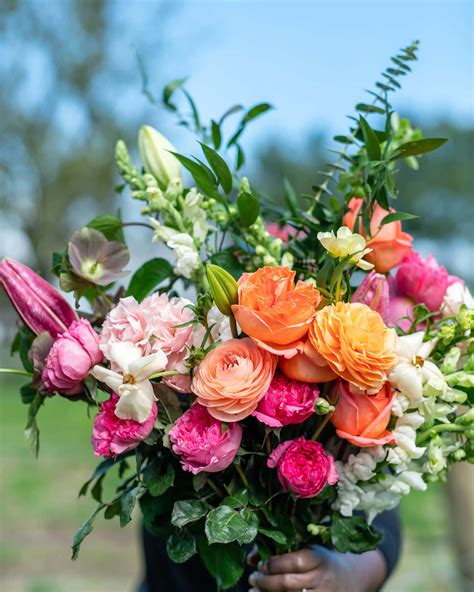 Download A Woman Holding A Bouquet Of Flowers In A Field | Wallpapers.com