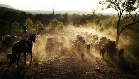 The Goodnight-Loving Trail: A Cattle Drive Branded in the Mind’s Eye