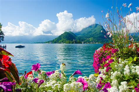 Floral Lakeside Serenity: 4K Ultra HD Wallpaper