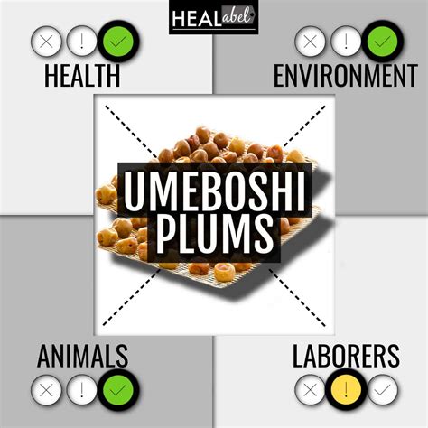 umeboshi benefits Archives | HEALabel