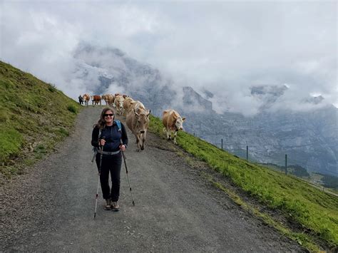 A Hiking Holiday in Switzerland's Berner Oberland - Nspire Magazine ...