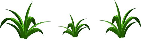 Clipart Grass Simple Clipart Grass Simple Transparent