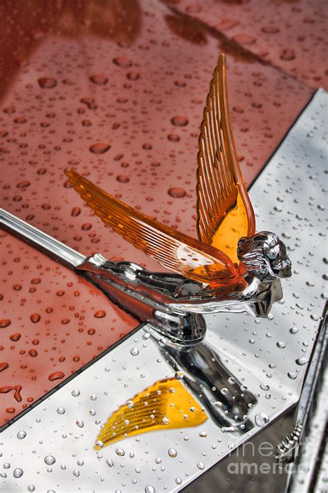 Gem Flying Lady Hood Ornament Photograph by Crystal Nederman | Fine Art ...