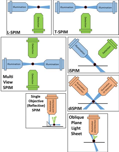 Light Sheet Microscopy Advantages | Shelly Lighting