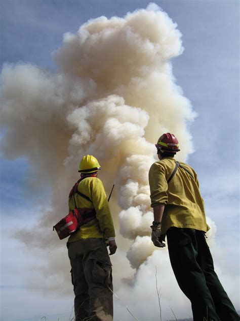 Free picture: firefighters, stand, front, big, fire, smoke
