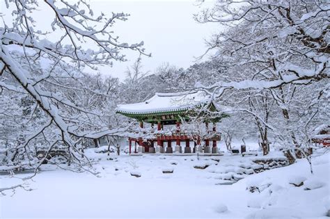 Free Photo | Baekyangsa temple and falling snow, naejangsan mountain in ...