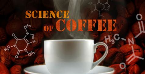 The Science of Coffee - Black River RoastersBlack River Roasters