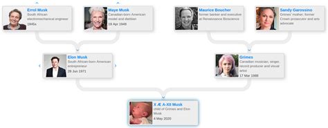 Elon Musk’s family tree - Blog for Entitree