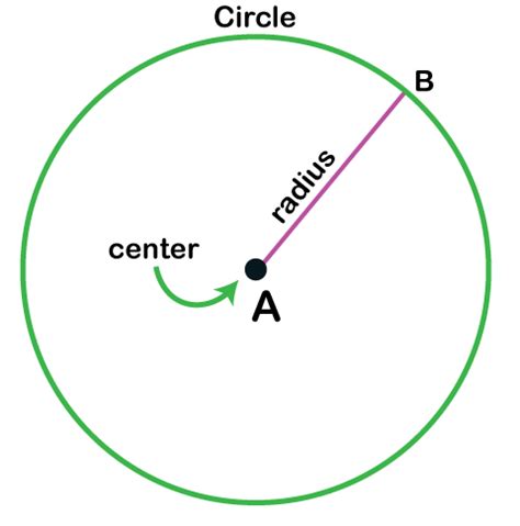 Radius of a Circle Definition - JavaTpoint