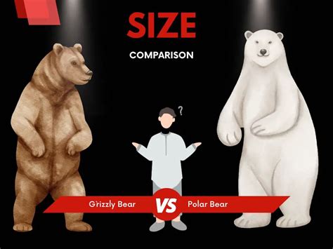 Swiss Sharepoint Grizzly Vs Polar Bear Coloring Pages - vrogue.co