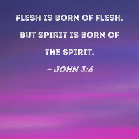 John 3:6 Flesh is born of flesh, but spirit is born of the Spirit.