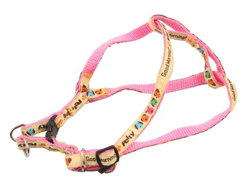 Pet Harness with Leash — Item #617884