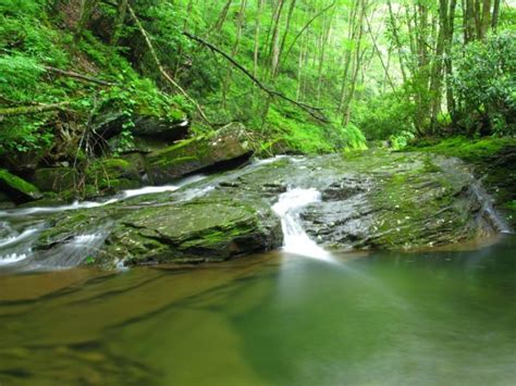 8 Popular Seneca Rocks Hiking Trails & Nearby Trails