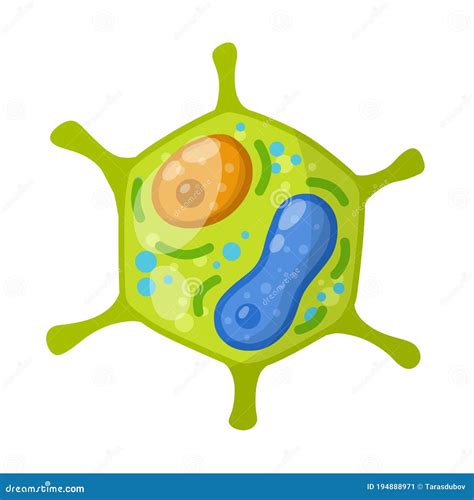 Biology Cells Clipart In Biology