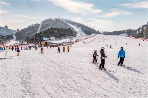 7 Winter Festivals in South Korea for Snow Activities, Street Food & More!