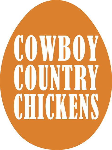Mauve Orpington Pullet Chicks — Cowboy Country Chickens