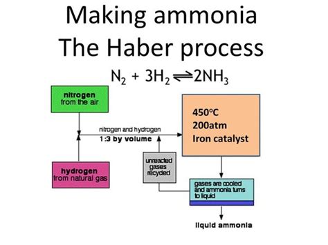 The Haber Process Amonia