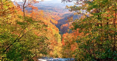 The Nature Conservancy in Georgia