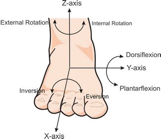 Leg, Foot, and Ankle Injury Biomechanics | Musculoskeletal Key