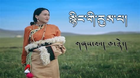 New Tibetan song 2023 ࿉ བོད་གཞས་གསར་པ་༢༠༢༣༼སྙིང་གི་རུས་པ།༽གཞས་མ། ཁ་བྷེ ...