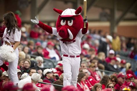 Ribby the Razorbacks mascot leads the crowd in cheering the Arkansas ...