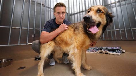 The Surprising Reason this Bear was Returned TWICE to the Shelter 🥺 - Rocky Kanaka