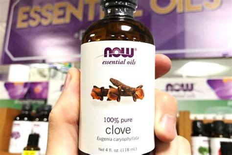 Clove Oil Uses Have Side Effects, But More Antioxidants – Superfoodly