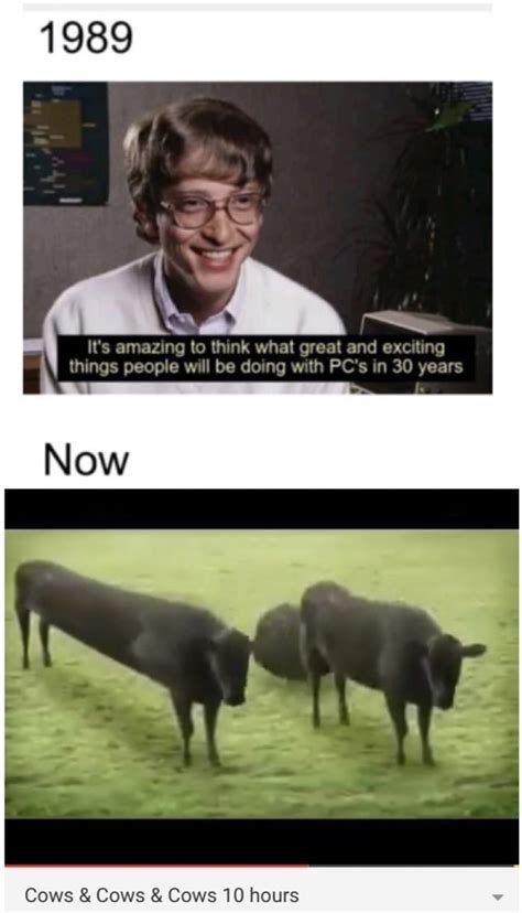 Cows and cows and cows and cows - 9GAG