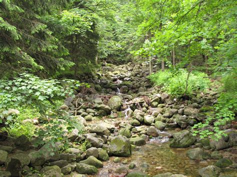 Mountain Stream Free Stock Photo - Public Domain Pictures