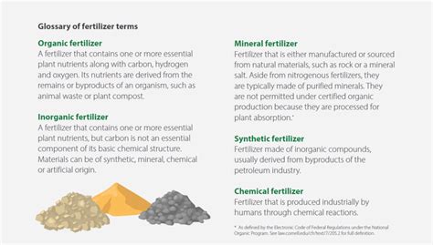 Plants can’t tell the difference: Understanding the pros and cons of organic and inorganic ...