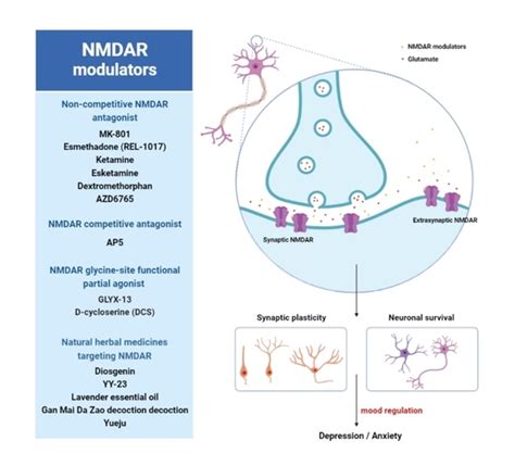 Nmda Antagonist Depression