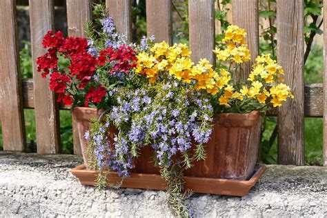 Flowers Balcony Flowerpot · Free photo on Pixabay
