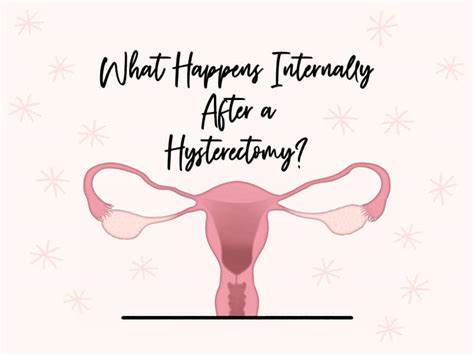 What Happens Internally After a Hysterectomy? - Nava Health